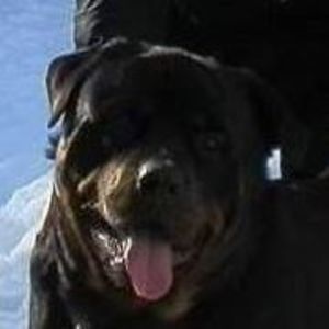 Meet your Posher, Mindy